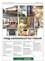 Síða 11