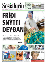 Síða 1
