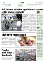 Síða 22