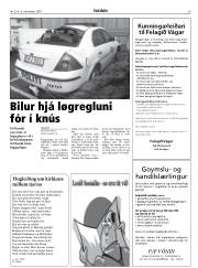 Síða 29