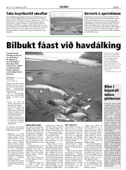 Síða 7