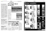 Síða 6
