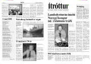 Síða 8