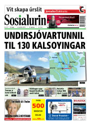 Síða 1