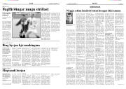 Síða 14