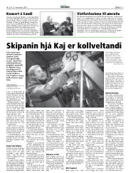 Síða 11