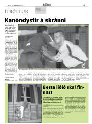 Síða 21