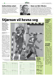 Síða 22