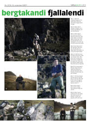 Síða 11