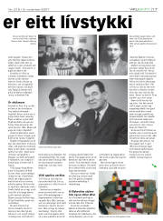 Síða 17