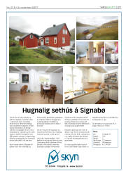 Síða 21