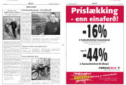 Síða 2
