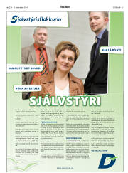 Síða 27