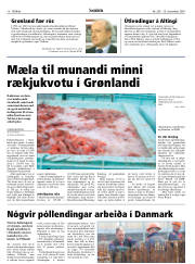 Síða 18