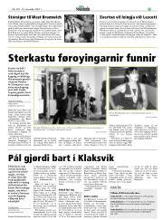 Síða 29