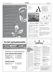 Síða 33