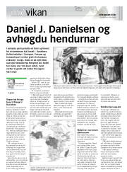 Síða 13