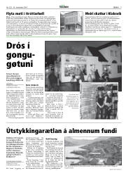 Síða 9