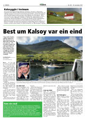 Síða 20