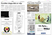 Síða 2