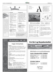 Síða 33