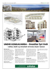 Síða 21