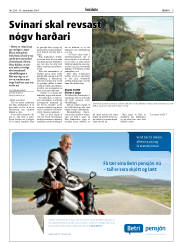 Síða 5