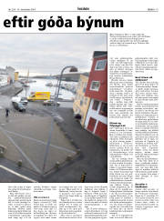 Síða 19