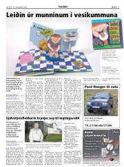 Síða 17