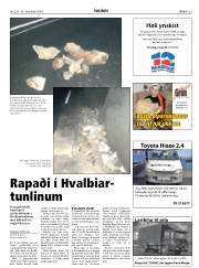 Síða 29