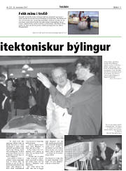 Síða 11