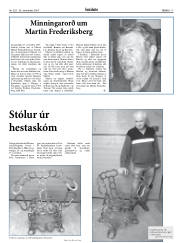Síða 17