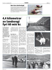 Síða 11