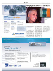 Síða 2