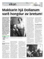 Síða 17