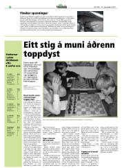 Síða 38