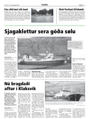 Síða 9