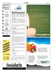 Síða 41