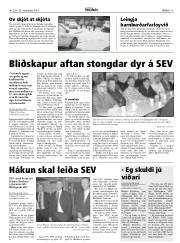 Síða 11