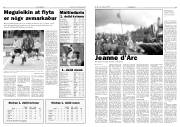 Síða 12