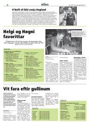 Síða 20