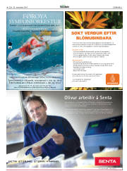 Síða 21