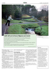 Síða 24