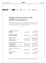 Síða 31