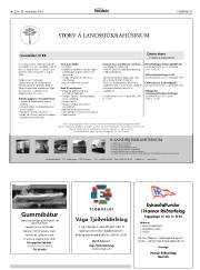 Síða 41
