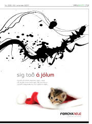 Síða 13