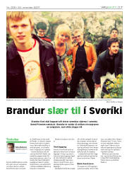 Síða 17