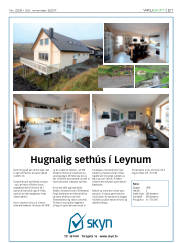 Síða 21
