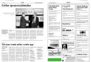 Síða 17