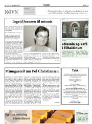 Síða 17
